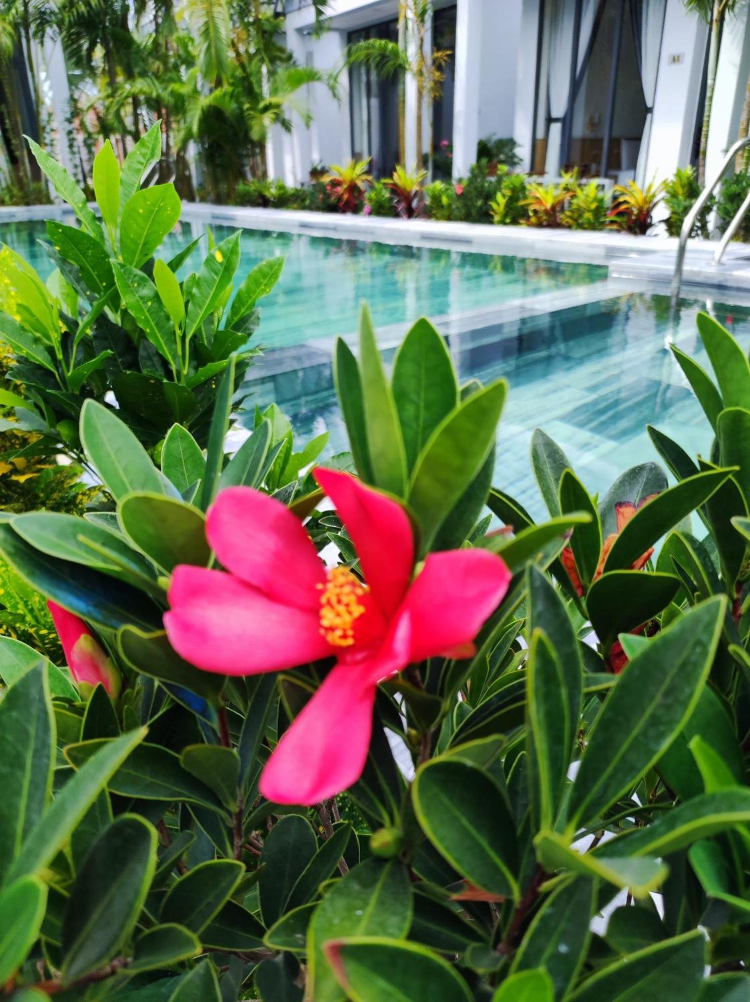 Ngoc Trai Xanh Bungalow Phú Quốc Exterior foto