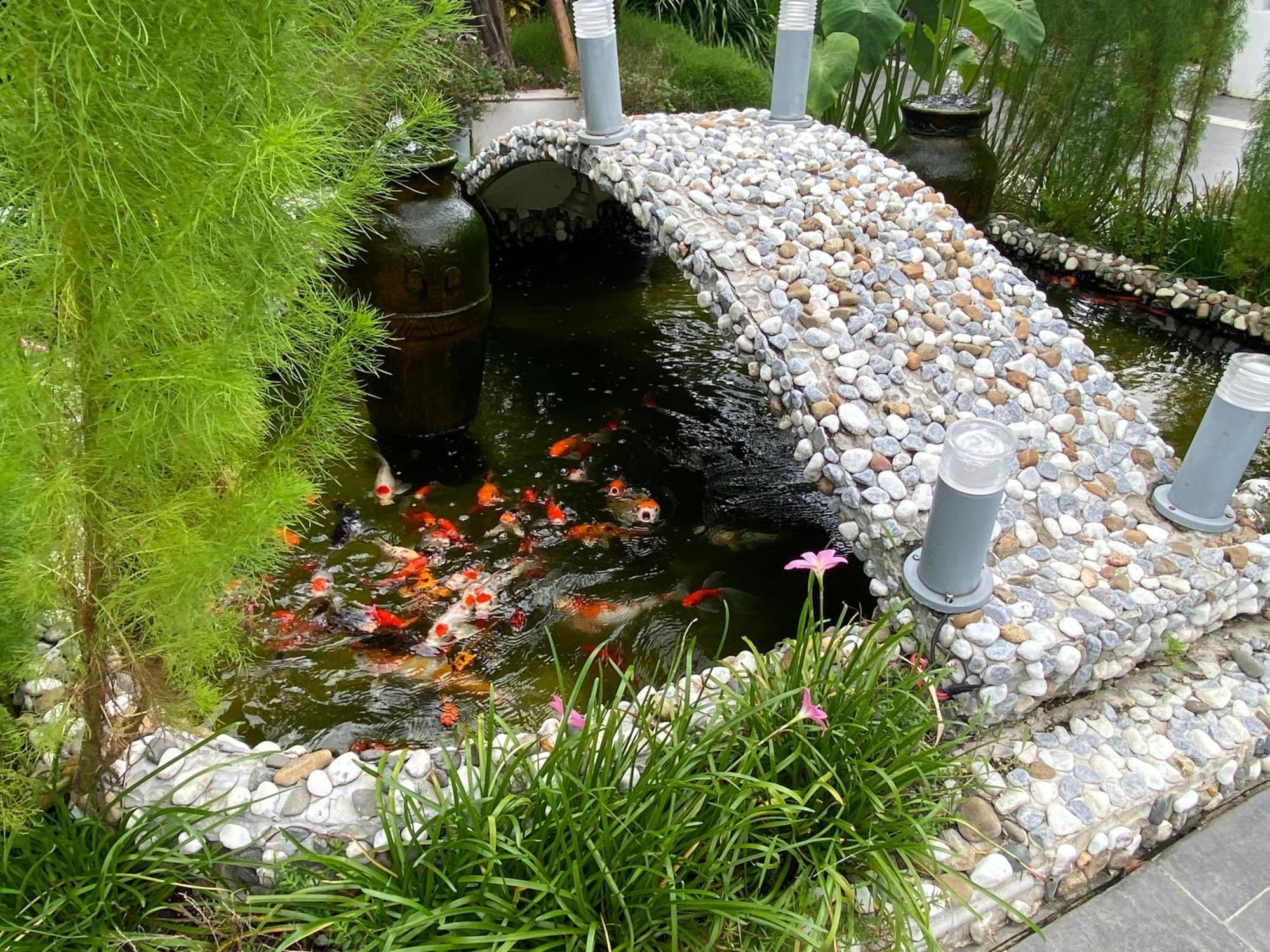Ngoc Trai Xanh Bungalow Phú Quốc Exterior foto